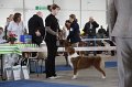 IMG_0842