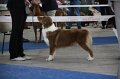 IMG_0843