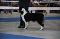 IMG_0845