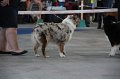IMG_0846