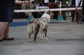 IMG_0847