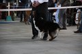 IMG_0848