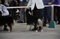 IMG_0851