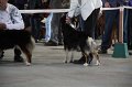 IMG_0853
