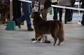 IMG_0854