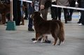 IMG_0855