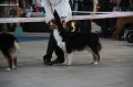 IMG_0856