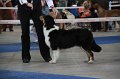 IMG_0858