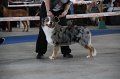 IMG_0860