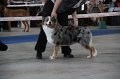 IMG_0861