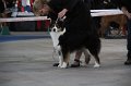 IMG_0862