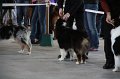 IMG_0867