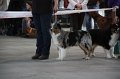 IMG_0874