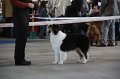 IMG_0876