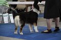 IMG_0878