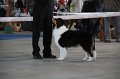 IMG_0879