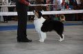 IMG_0880