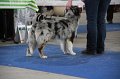 IMG_0882