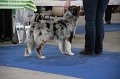 IMG_0883