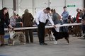 IMG_0891