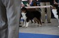IMG_0898