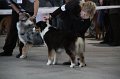 IMG_0901