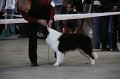 IMG_0904