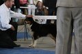 IMG_0907