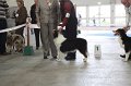 IMG_0908