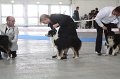 IMG_0910