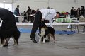 IMG_0911