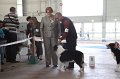 IMG_0913