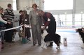 IMG_0915