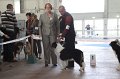 IMG_0917