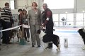 IMG_0918