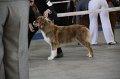 IMG_0931