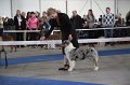 IMG_0935