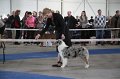 IMG_0936
