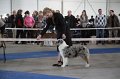 IMG_0937