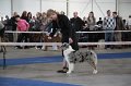 IMG_0938