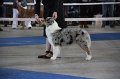 IMG_0939