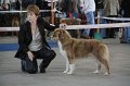 IMG_0940