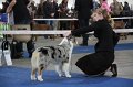 IMG_0943