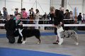 IMG_0950