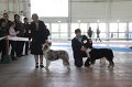 IMG_0956