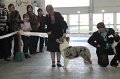 IMG_0958