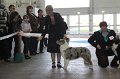 IMG_0960