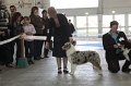 IMG_0962