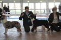 IMG_0963