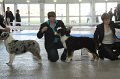 IMG_0964